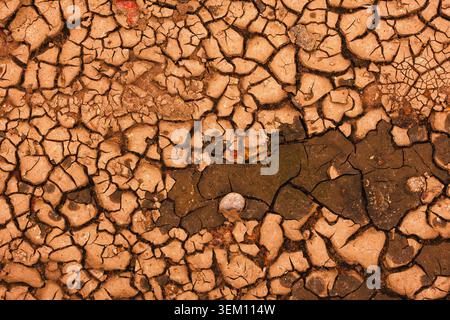 Cracked Earth. An arid landscape with cracked, dry earth patterns in a warm orange hue Stock Photo