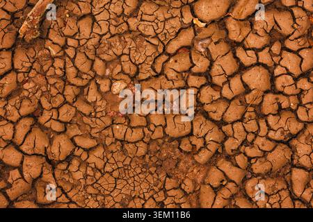 Cracked Earth. An arid landscape with cracked, dry earth patterns in a warm orange hue Stock Photo