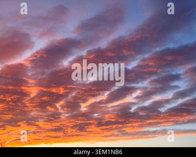 Fiery sunset sky clouds altocumulus undulatus Stock Photo