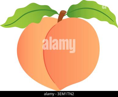 Juicy peach with green leaves isolated. Hand drawn trendy flat style isolated with soft gradients. Perfect for commercial use, food packaging, organic products branding, menu, stickers, and patterns Stock Vector