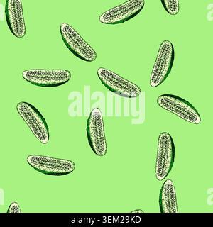 pattern cucumber cut sketch hand drawn Stock Vector