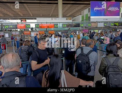 Busy easyJet check-in and bag-drop area at Catania Airport, with holiday & business passengers queuing during peak summer congestion Stock Photo