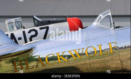 View of vintage aircraft with polished silver fuselages and the name Blackwolf parked on a grassy airfield near a hangar in La Ferte-Alais, Ile-de-Fra Stock Photo