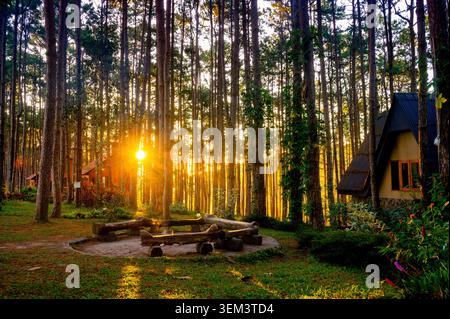 Vibrant forest at sunrise, featuring charming A-frame cabins, a cozy fire pit, and golden sunlight streaming through the tall trees. Stock Photo