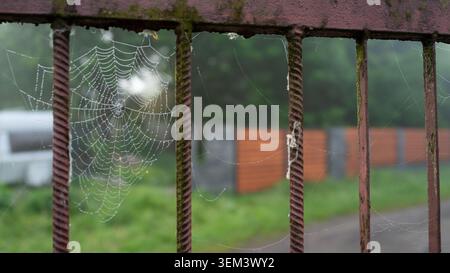 Rusty vertical metal bars covered with delicate spider webs in front of a blurred outdoor background with greenery and a road, creating an aged and neglected Stock Photo