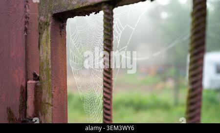 Delicate spider web stretched across a rusty metal frame with soft focus greenery in the background. Natural outdoor scene with weathered textures, fi Stock Photo