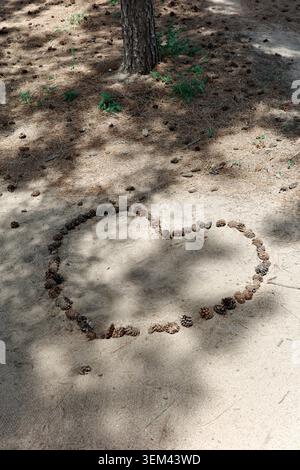 Pine cones arranged in a heart shape on sandy ground beneath a pine tree with dappled shadow, coastal forest, Gangneung, South Korea. Stock Photo