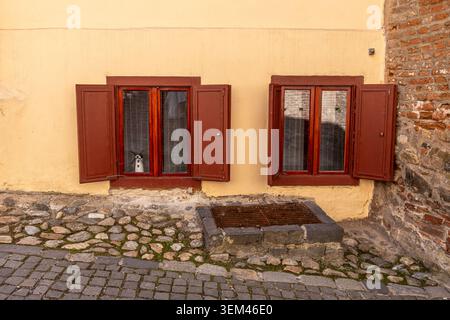 A direct landscape shot of a traditional historic house wall painted in beige plaster, featuring two symmetric glass windows with open reddish brown w Stock Photo