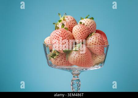 Glass bowl of rare white strawberries on blue Stock Photo
