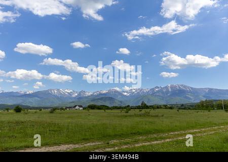 A horizontal wide landscape panorama showing a rustic dirt path cutting through a vast green grass field, with a spectacular snow-capped mountain ridg Stock Photo