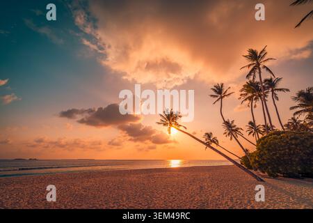 Golden sunset between leaning coconut palms on tropical beach, glowing sun above sea horizon, warm dramatic clouds over island shore evening scenic Stock Photo