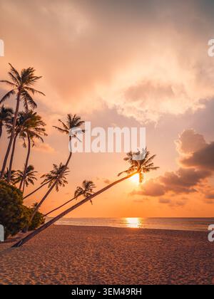 Coconut palms at fiery sunset vertical frame, sun blazing between leaning trunks over beach, dramatic orange evening sky on tropical island scenic Stock Photo