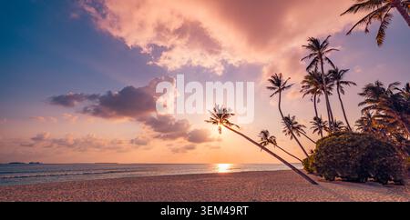 Leaning palm trees at dramatic sunset beach, purple and orange clouds over calm sea, sun reflecting on quiet tropical shore, moody island evening pano Stock Photo