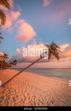 Palm tree leaning over quiet sunset beach vertical view, hammock by calm sea at dusk, soft evening light on empty tropical shore scenic. Relaxation Stock Photo