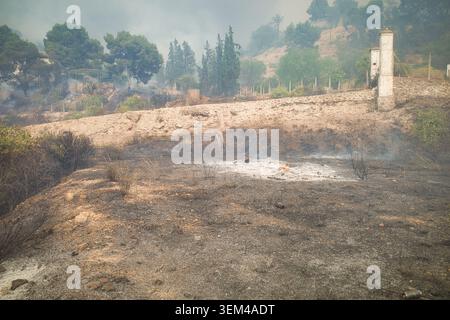 Scorched earth and smoke after a brush fire Stock Photo