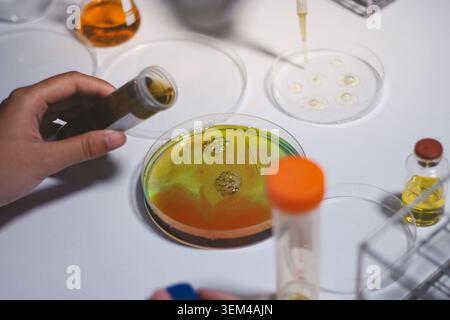 Researchers working in the clinical laboratory Stock Photo