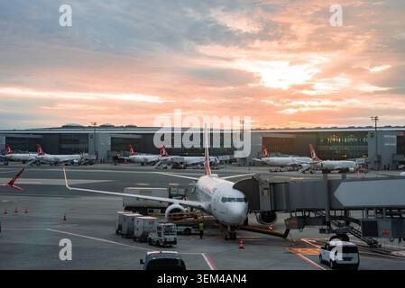 Turkish Airlines aircraft at Istanbul Airport apron during sunset Stock Photo