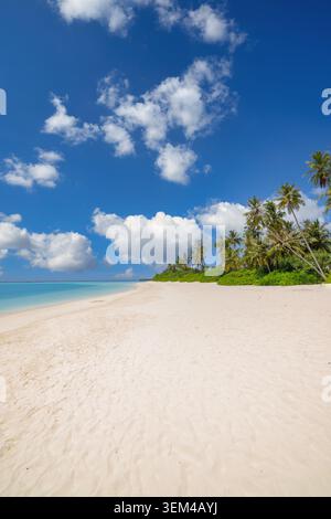 White sand beach vertical view, palm trees under deep blue sky with fluffy clouds, pristine tropical island shore, bright sunny summer landscape scene Stock Photo