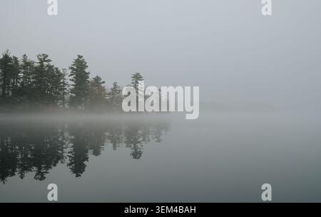 Pine trees on a foggy shoreline reflected in the lake water Stock Photo