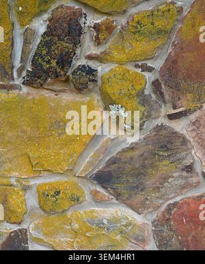 Close up of a rock wall surface with moss covered stones in various sizes and colors, flat uneven rocks Stock Photo