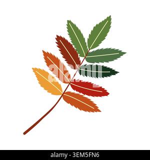 Colorful rowan leaf with red yellow and green gradients vector autumn element Stock Vector