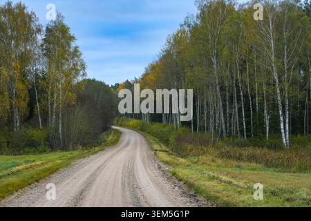 Curving gravel road through birch forest in autumn, Valmiera Municipality, Vidzeme, Latvia Stock Photo