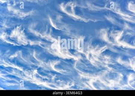 High-level Cirrocumulus clouds in early summer over central France. Stock Photo