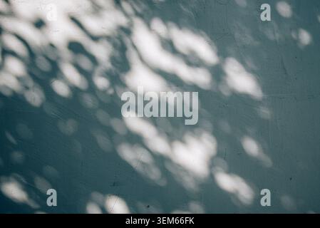 Beige aesthetic neutral background, summer tropical shadow on stucco wall texture. Minimalist boho and wabi sabi wallpaper. Coastal abstract pattern. Stock Photo