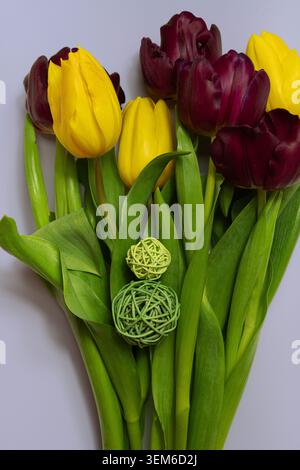 Bouquet of yellow and dark burgundy tulips with green leaves and decorative wicker balls on a white background, vertical floral composition. Stock Photo