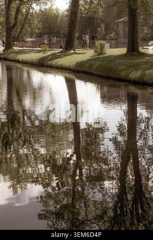 A scenic view of a quiet pond reflecting the tall lush green trees during a bright spring day in the park.  Bowness Park, Calgary, Alberta, Canada Stock Photo