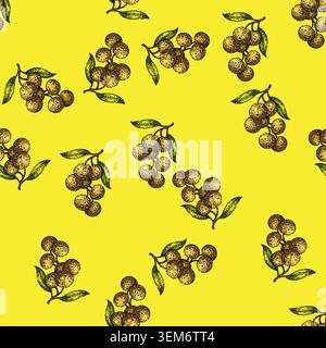 pattern fresh longan fruit sketch hand drawn Stock Vector