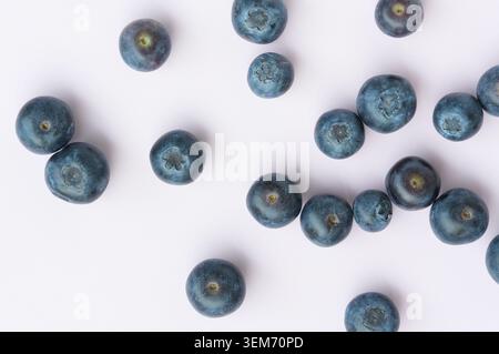 Blueberries isolated on white background. Flat lay, top view. Stock Photo