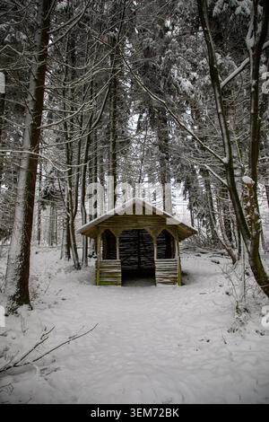 View of a small wooden shelter nestled among snow-covered pine trees in the Eifel forest, Kelberg, Rhineland-Palatinate, Germany. Stock Photo