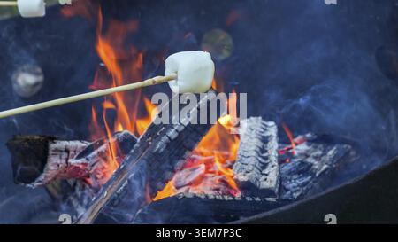 Marshmallow is being roasted on a stick over a lively campfire, with glowing embers and logs creating a warm and inviting atmosphere Stock Photo