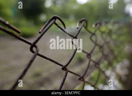 Delicate spider web connecting the rusted metal wires of a chain link fence, with a soft bokeh background highlighting themes of nature reclaiming the Stock Photo