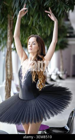 Confident ballerina in an elegant black tutu holding a graceful pose with arms lifted, standing in a stylish modern interior with designer chairs and Stock Photo