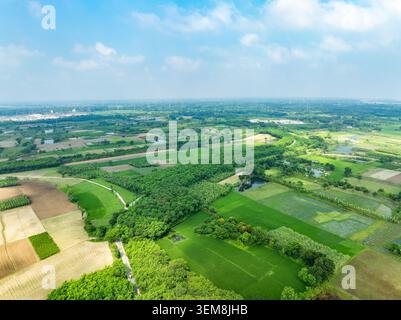 Aerial view of lush green agricultural fields, dense tree groves, and small ponds under a bright blue sky with soft white clouds in Bangladesh. Stock Photo