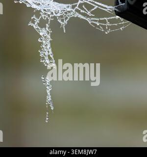 Ice coated spider web suspended from a wooden structure with delicate frozen droplets and soft natural background Stock Photo