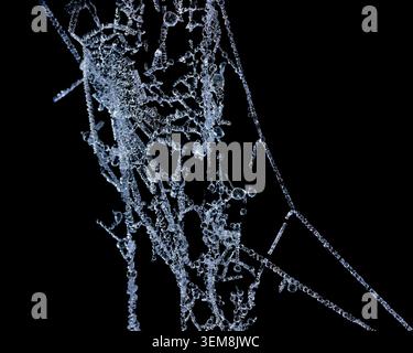 Intricate frozen spider web strands and ice droplets forming an abstract winter pattern on a black background Stock Photo