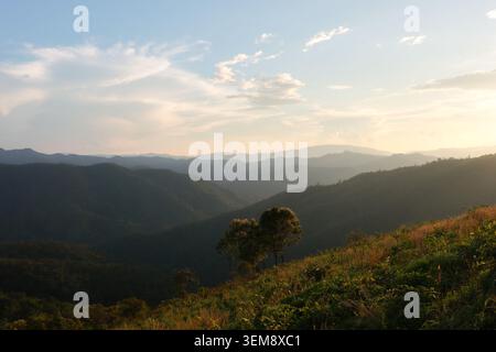 Serene mountain landscape showcases scenic green hill under cloudy sky at golden sunset, evoking peaceful feeling with lonely tree standing on grassy Stock Photo