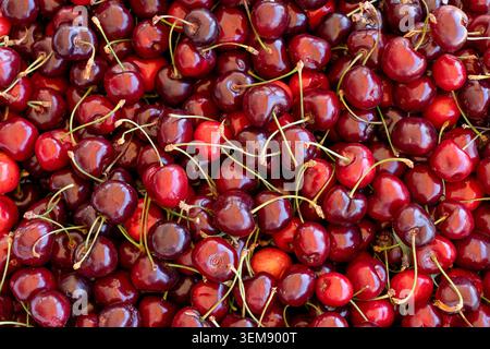 Pattern, texture, background: ripe red sweet cherries with stems. Concept: a fresh organic summer berry harvest, perfect for textures in food design Stock Photo
