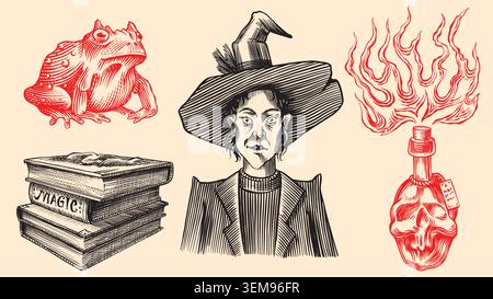 Witch in hat frog on books and poison bottle Wizardry and witchcraft elements for magic rituals and spiritualism and halloween. Fully digital hand Stock Vector