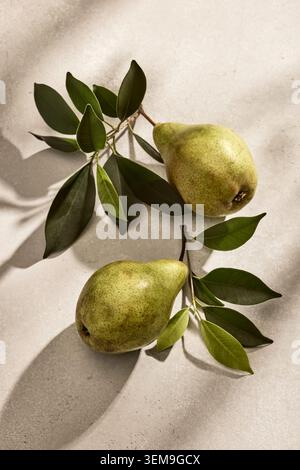 Overhead flat lay shot of two fresh, organic Italian pears with natural green leaves, resting on a rustic kitchen tabletop surface. Captured in a warm Stock Photo