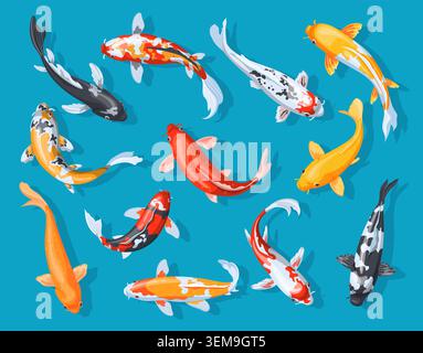 Koi fish. Cartoon japanese carp, traditional asian lucky fortune symbol gold orange red carps above top view swim water pond river zen bright goldfish set neat vector illustration original artwork Stock Vector