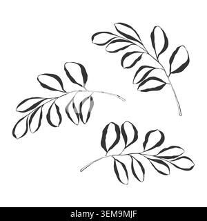 Minimalist botanical line art illustration set of three hand drawn elegant branches with black ink leaves isolated on white background for contemporary wall art posters organic cosmetics packaging and modern tattoo design. Vector illustration Stock Vector
