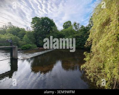 A tranquil river scene featuring a low concrete weir stretching across the water, dark reflective surface with subtle ripples, and dense green trees l Stock Photo
