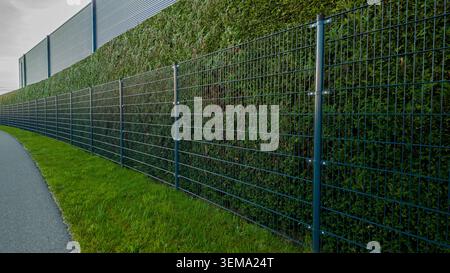 Metal fence and tall hedge forming a layered privacy and security barrier Stock Photo