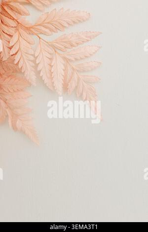 Minimalist Scandinavian and Boho style front view composition with pink dry botanical fern branch on textured background, copy space. Stock Photo