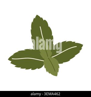 Fresh green mint leaves herbal tea ingredient icon Stock Vector