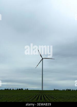 Single wind turbine stands tall in green farm field under overcast sky. Clean renewable energy concept, eco friendly technology generation, sustainabl Stock Photo